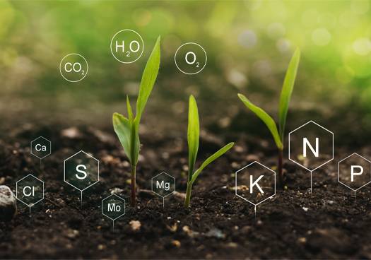 Webs Utility Global | Soil Health Improvement